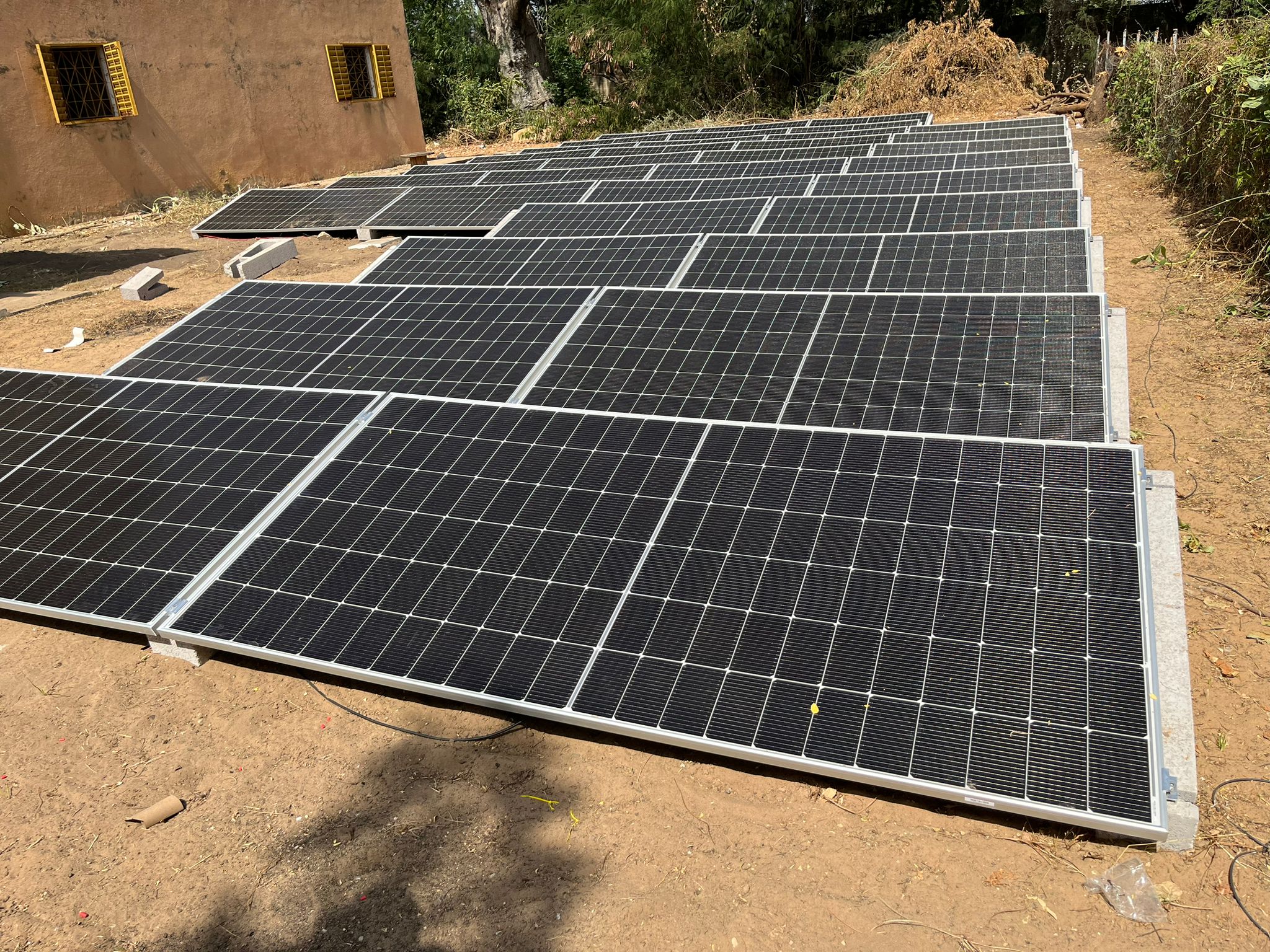 WhatsApp Image 2024-11-21 at 20.17.36