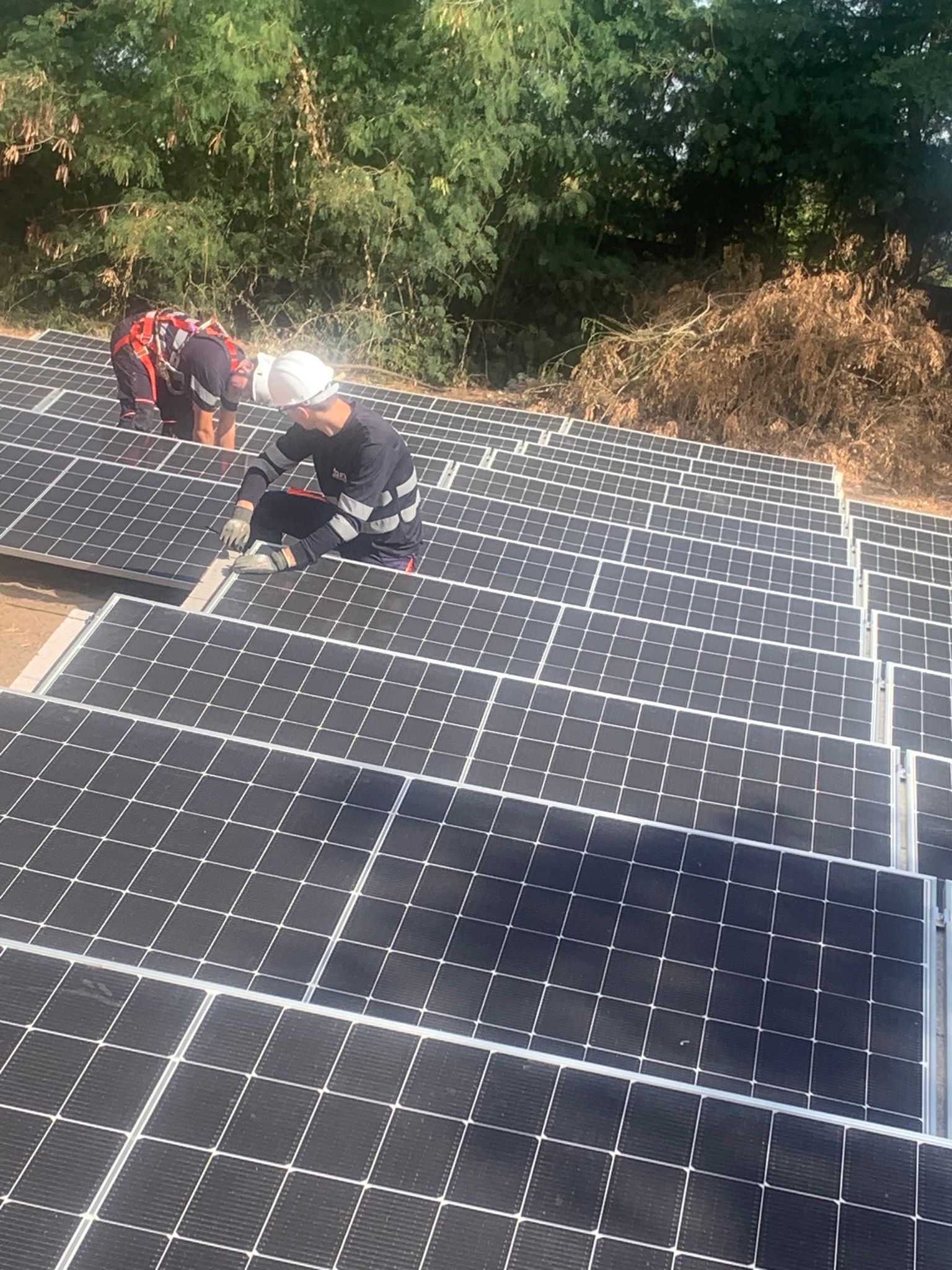 WhatsApp Image 2024-11-30 at 10.20.23 (1)