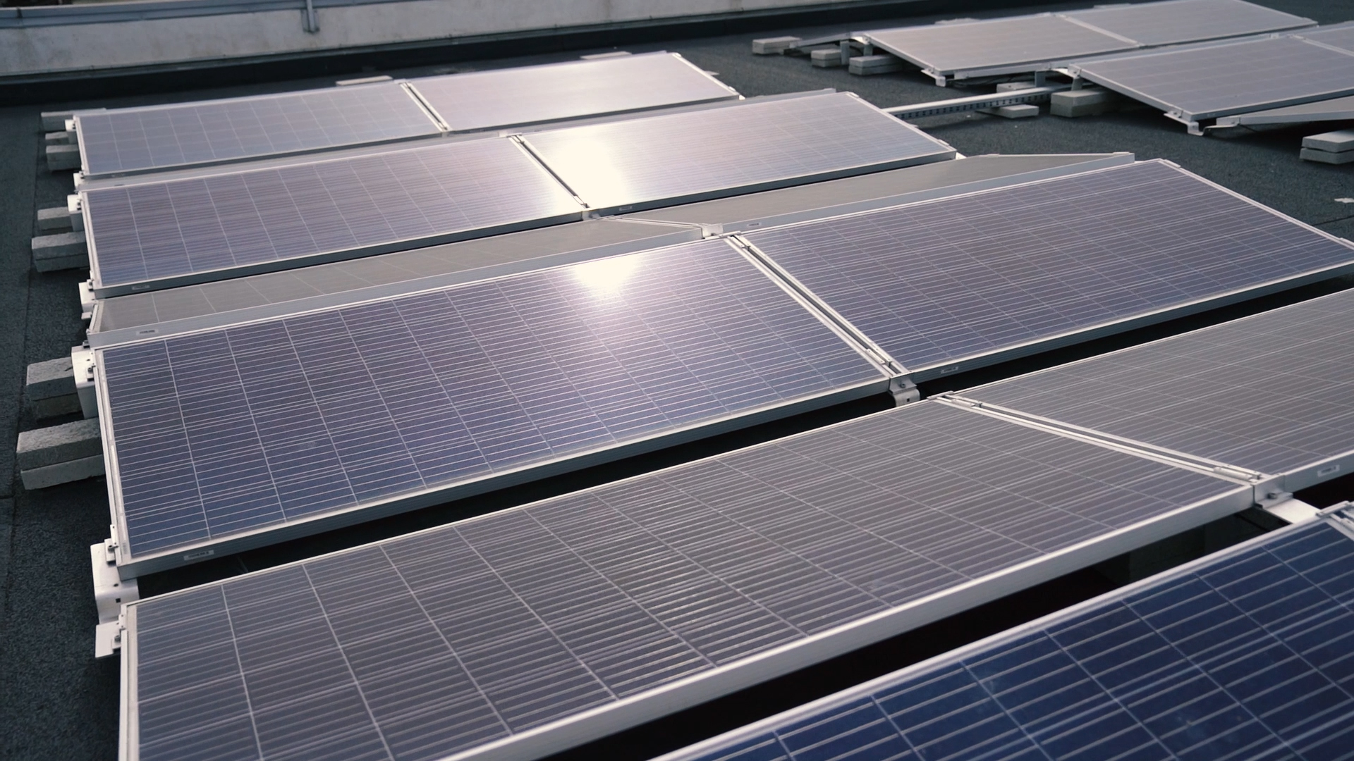 líder en energía solar fotovoltaica